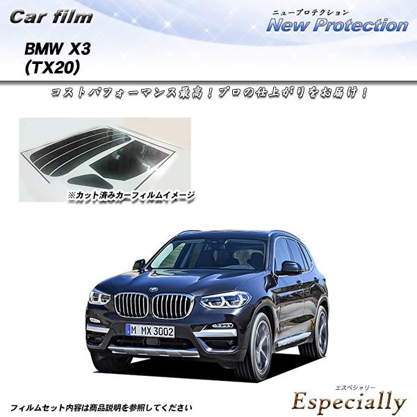 BMW X3 (TX20) ニュープロテクション カット済みカーフィルム リアセット