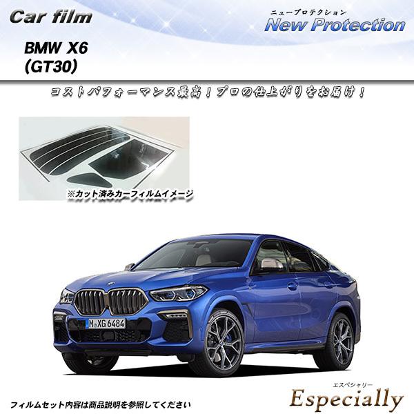 BMW X6 (GT30) ニュープロテクション カット済みカーフィルム リアセット