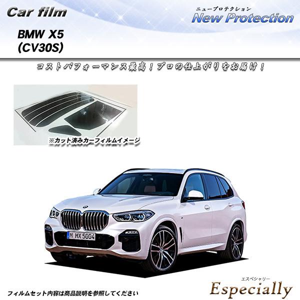 BMW X5 (CV30S) ニュープロテクション カット済みカーフィルム リアセット