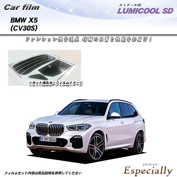BMW X5 (CV30S) ルミクールSD カット済みカーフィルム リアセット