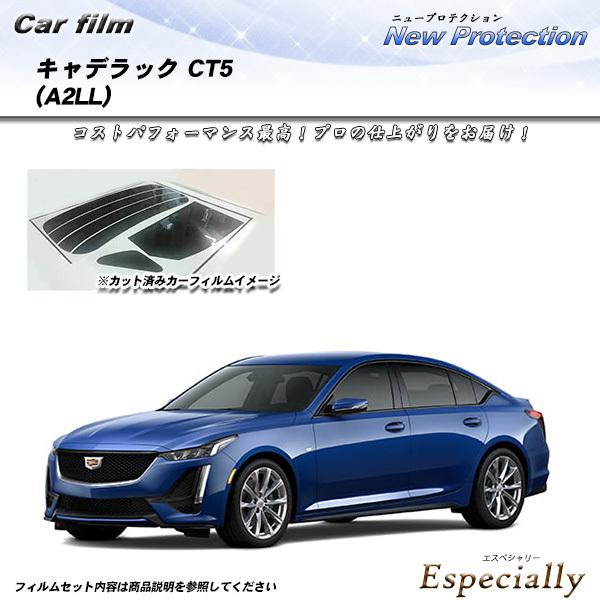 キャデラック キャデラック CT5 (A2LL) ニュープロテクション カット済みカーフィルム リア...