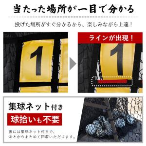 両面 野球 練習 ネット ピッチング ストラッ...の詳細画像5