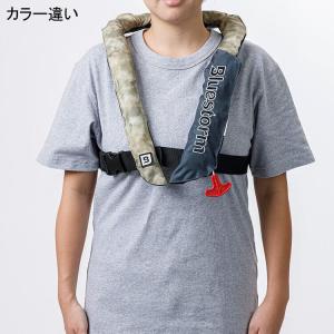 ブルーストーム BLUESTORM 膨脹式ライ...の詳細画像1