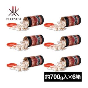 ファイヤーサイド FIRESIDE まとめ買いでお得 6箱入 ファイヤースターター B100 着火剤 燃料 焚き火 キャンプ 薪ストーブ関連用品 野外｜esports