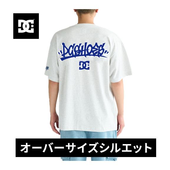 ディーシーシューズ DC Shoes 25 GRAFFITTI SS DST251097 GRY メ...
