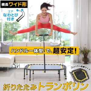 トランポリン 10%OFF 耐荷重100kg