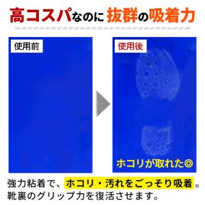 [プロ監修] バスケットボール シューグリップ...の詳細画像5