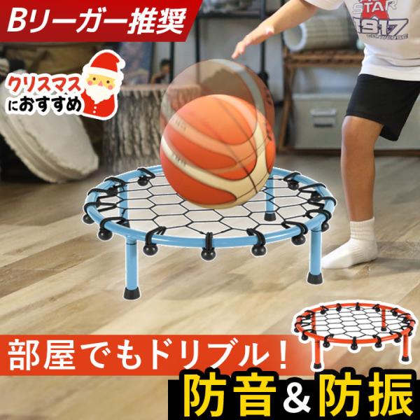 ★Bリーガー推奨★ ドリブル練習 ドリブルネット 安心の静音設計 室内練習 静音 防音 防振 バスケ...