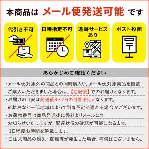 ザ・ノース・フェイス ショートスリーブクレープ...の詳細画像3