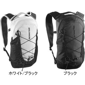 サロモン SALOMON XT 10 メンズ ...の詳細画像3