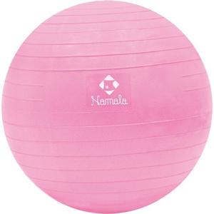 ナマラ（Namala） バランスボール 45cm NA5015 3015015 トレーニング用品 フィットネス トレーニング エクササイズ ダイエット