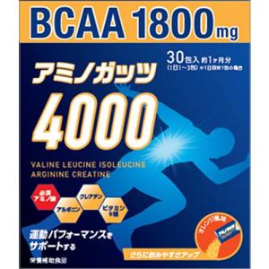 リブ・ラボラトリーズ アミノガッツ4000 5g×30包  203747 ランニング サプリメント 暑さ対策 健康食品 アミノ酸 アルギニン トレーニング BCAA 筋トレ｜esports