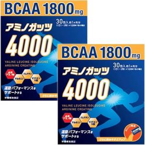 リブ・ラボラトリーズ 4000 5g×30包 203747 計2点セット ランニング サプリメント 暑さ対策 健康食品 アミノ酸 アルギニン トレーニング BCAA 筋トレ｜esports