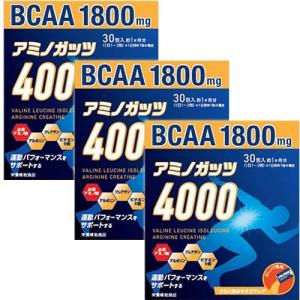 リブ・ラボラトリーズ 4000 5g×30包 203747 計3点セット ランニング サプリメント 暑さ対策 健康食品 アミノ酸 アルギニン トレーニング BCAA 筋トレ｜esports