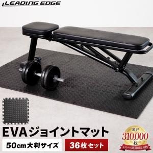 LEADING EDGE（リーディングエッジ） ラバーダンベル プレート 1.25kg