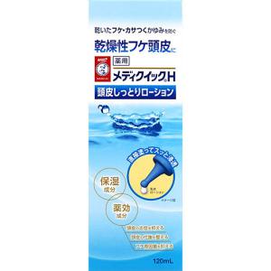 ロート製薬 メンソレータム メディクイックH 頭皮しっとりローション 120ml E518897H 化粧品 ヘアケア スカルプケア ローション エッセンス｜esports