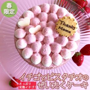 こだわり苺ムースとピスタチオのケーキ 14cm  誕生日ケーキ