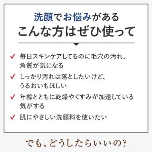 酵素洗顔 パパウォッシュ フリー サンプル パ...の詳細画像4