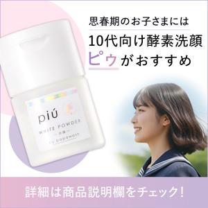 酵素洗顔パウダー パパウォッシュ 詰替え パウ...の詳細画像3