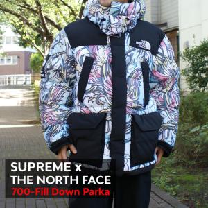 新品 シュプリーム SUPREME x ザ ノースフェイス THE NORTH FACE 700-Fill Down Parka MULTICOLOR DRAGON 226000253039 OUTER｜essense