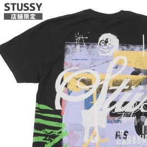 【店舗限定】新品 ステューシー STUSSY CARSON DINO TEE Tシャツ デイヴィッド・カーソン 200009327041 半袖Tシャツ｜essense