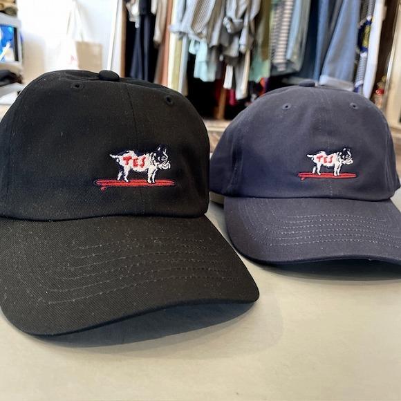 TES The endless summer テス HUNTINGTON LOW CAP  ワンポイ...
