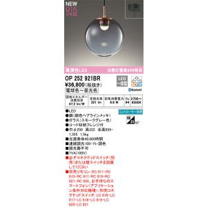 【関東限定販売】オーデリック「OP252921BR」LEDペンダントライト電球色/調光調色（直付け用）要工事/要別売リモコンLED照明｜esta