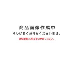 オーデリック／「XG454017」屋外用LED投光器 LED一体型 昼白色 水銀灯400W相当 マットシルバー 防雨型／要工事