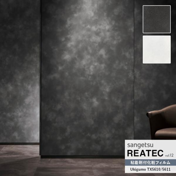 粘着シート サンゲツ リアテック REATEC vol.12 自然の輪郭 Ukigumo 静謐な時の...