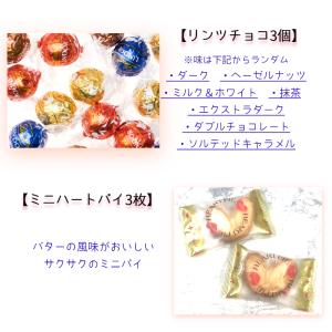リンドール ボックスギフト チョコレートギフト...の詳細画像1