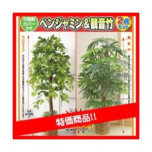 人工観葉植物 ベンジャミン 観音竹セット 大型 おしゃれ リビング インテリアグリーン Purrworld Com