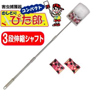 害虫捕獲器 むしとりぴた郎コンパクト ゴキブリ 3段伸縮タイプ シート3枚付