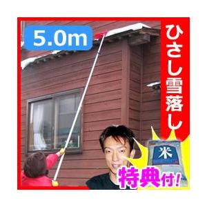つらら落とし棒 5mの商品一覧 通販 Yahoo ショッピング