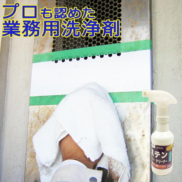 ステンクリーナー 300g（スプレートリガー付）SS-101 ビアンコジャパン ステンレス 掃除 キ...