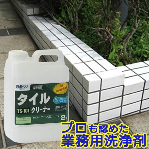 タイルクリーナー 2kg（ポリ容器入り）TS-101 玄関 タイル 掃除 洗剤 外壁 ブラシ