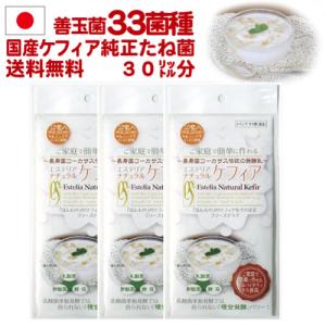 スーパーケフィアヨーグルト たね菌プラス 10本袋×2個 ロイヤルユキ