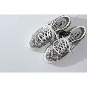 CONVERSE SKATEBOARDING PRORIDE SK SNK OX 34200640