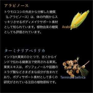 エステプロラボ 公式 トリプルカッターEX グ...の詳細画像5