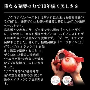 Esthe Pro Labo ザクロザイムペー...の詳細画像2