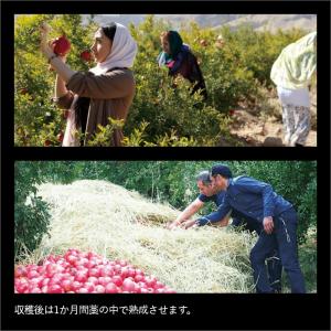 Esthe Pro Labo ザクロザイムペー...の詳細画像4