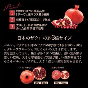 Esthe Pro Labo ザクロザイムペー...の詳細画像5