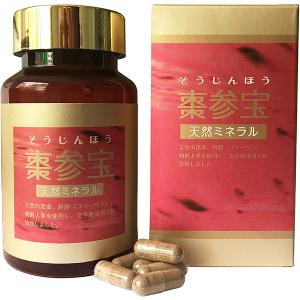 UTP 漢減整 4粒 x 30包入 かんげんせい 黒ショウガエキス末加工食品