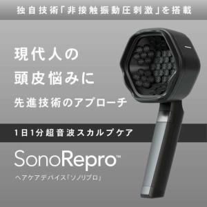 SonoRepro ソノリプロ PDS1010...の詳細画像3