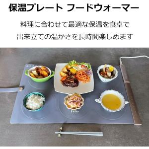 Felio フードウォーマー BWR02 セパ...の詳細画像1