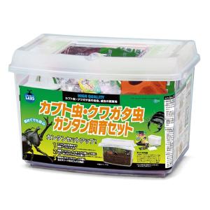 カブト虫・クワガタ虫 カンタン飼育セット (昆虫用品)｜estim