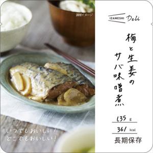 非常食 セット 備蓄 食糧 災害 食料 防災食 ...の商品画像