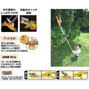高枝切りバサミ 剪定鋏 園芸用品 高枝鋏 ポー...の詳細画像3