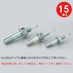 オールアンカー ステンレス M16 長さ 120mm SC-1612 ( 1本単位 バラ
