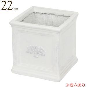 植木鉢 プランター おしゃれ 鉢植え ヘキサゴンポット 5号 white
