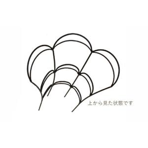 フェンス 屋外 花壇 アイアン トレリス 柵 ...の詳細画像1